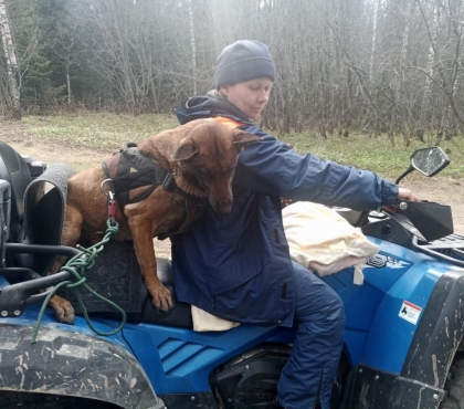 Единственная следовая собака в поисковой службе региона: в Челябинске живет бельгийская овчарка с редкой профессией
