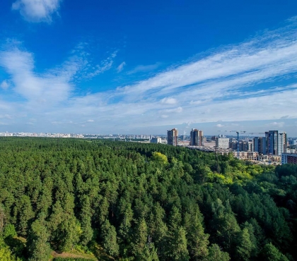 В Челябинске обсудили создание «зелёного пояса» города