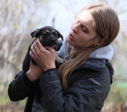 В Челябинске приюты для животных готовы принять собак мобилизованных южноуральцев