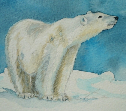 В Челябинской области объявили конкурс на лучший рисунок медведя
