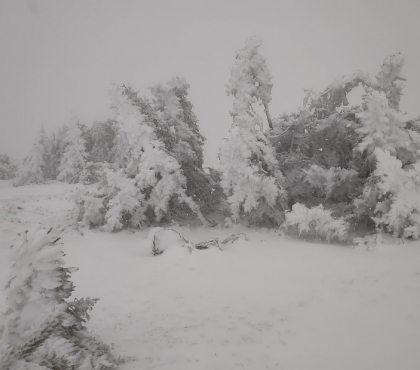 В Челябинской области выпадет первый снег
