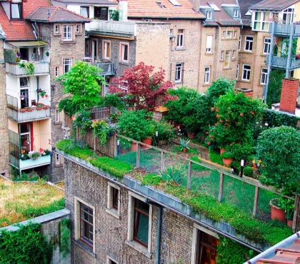 Главный архитектор Челябинска рассказал о возможности озеленения городских крыш