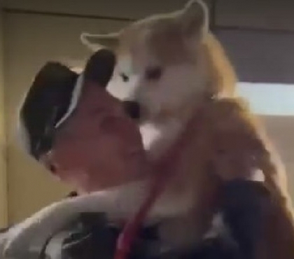 На видео сняли трогательную встречу собак и их мобилизованного хозяина, приехавшего в отпуск