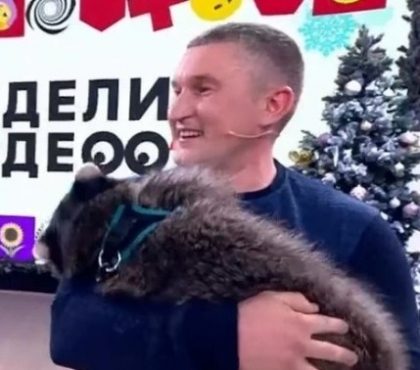 Челябинский енот Витя стал героем шоу на Первом канале