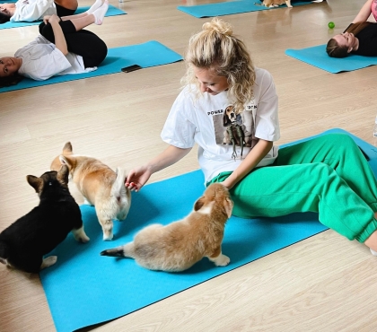 В Челябинске появился новый тренд: йога с собаками