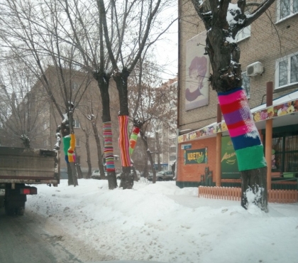 Вязаный стрит-арт: в Челябинске деревья вдоль дороги 