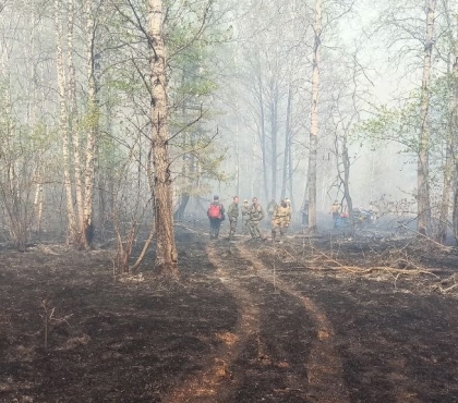 В Челябинской области потушили лесной пожар в нацпарке «Зигальга»