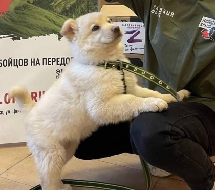 Боец СВО из Челябинска подобрал на улице пса, которого бросили хозяева, и повезёт его с собой на фронт