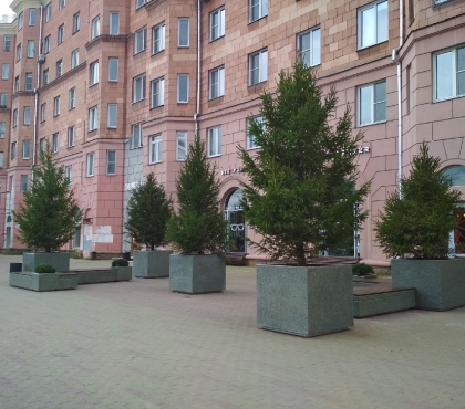 На тротуаре в центре Челябинска установили скамейки и вазоны с елями-крупномерами