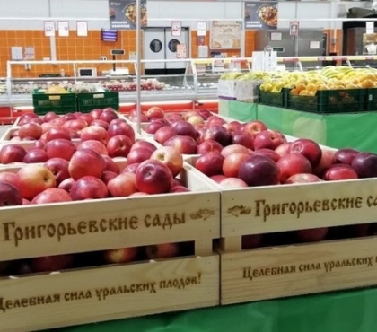 В южноуральских магазинах теперь можно купить яблоки, выращенные в Челябинской области