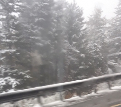 В Челябинской области водитель снял на видео первый снег