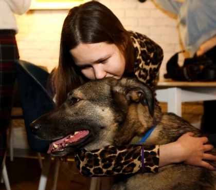 На форуме для собаководов в Челябинске собрали средства на корм и лекарства животным из четырех приютов