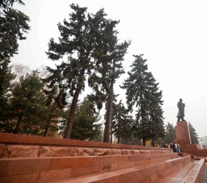 На главной площади Челябинска заменят старые ели на новые