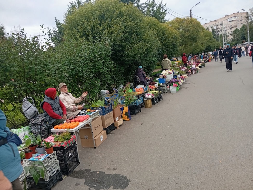 Просто огромный ряд бабушек, которые продают продукты 