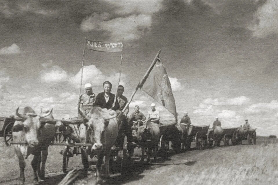 Так южноуральцы ехали к хлебоприемным пунктам. Фото: Объединенный Государственный архив Челябинской области 