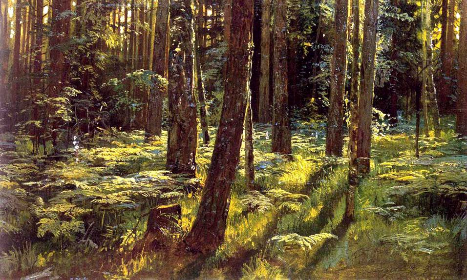 Шишкин И.И. Папоротники в лесу. Сиверская. 1883