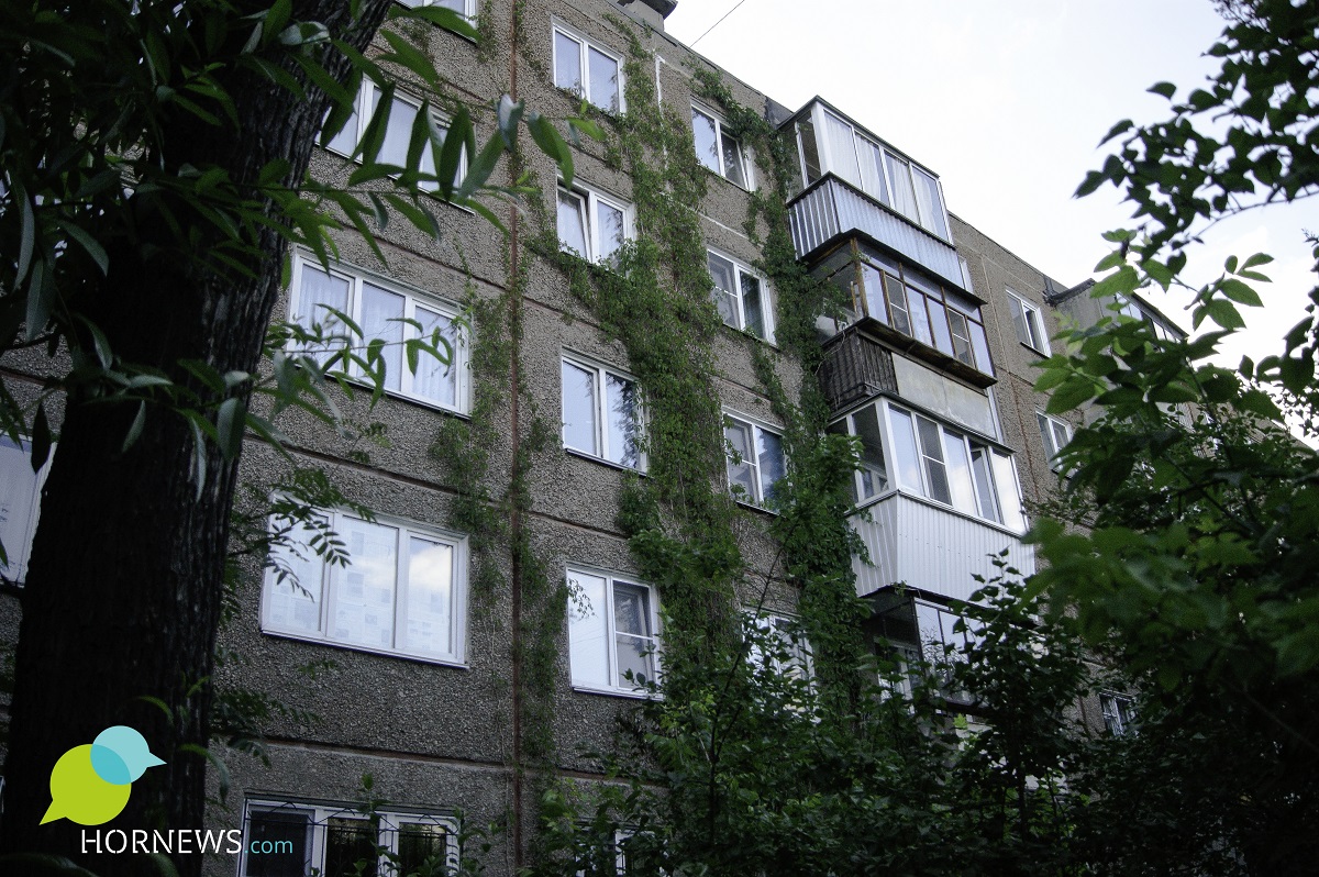 Тонкие ветви на здании по адресу Комсомольский проспект, 44