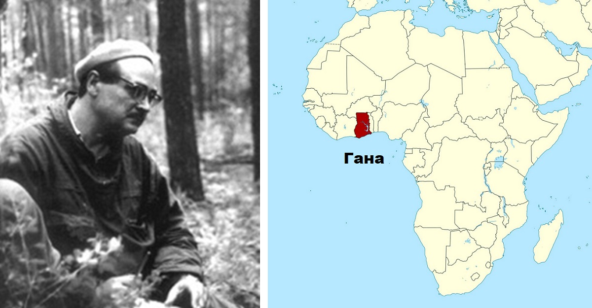 Геолог Владимир Басов привез семена баобаба из Ганы и вырастил дома в Миассе