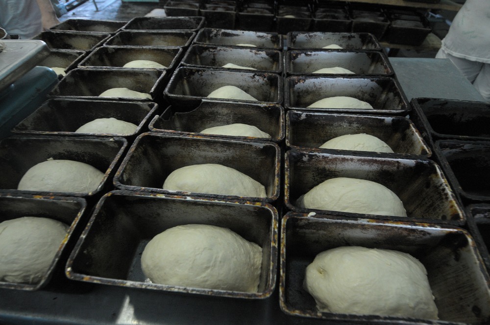 Расстойка теста в духовке. Формы для хлеба на хлебозаводе. Хлебные формы для хлебокомбината. Формовка хлеба в пекарне. Формовка хлеба на хлебозаводе.